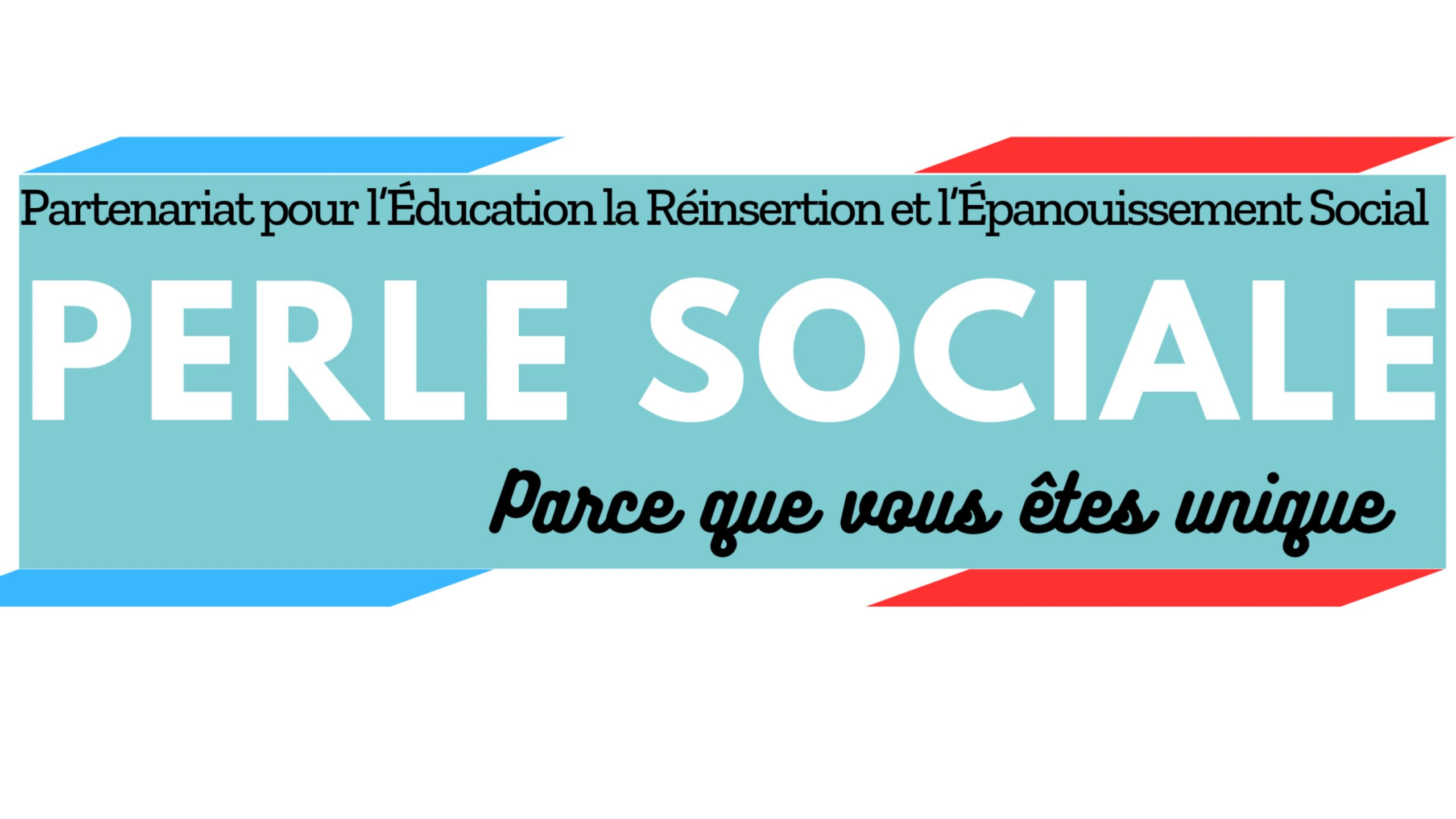 Partenariat pour l'Éducation la Réinsertion et l'Épanouissement Social (PERLE SOCIALE)